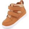 Dark Camel