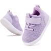 imageBMCiTYBM Baby Boy Girl Shoes Breathable Mesh Walking Shoes Lightweight NonSlip Sneakers Infant First Walkers 6 9 12 18 24 MonthB1purple
